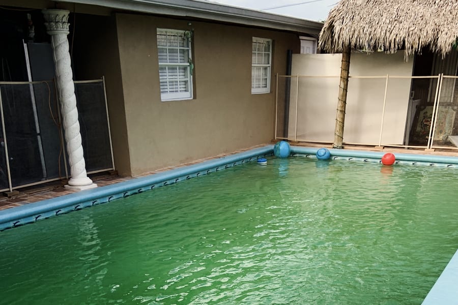 Why South Florida Pools Turn Green — and How to Get Them Back