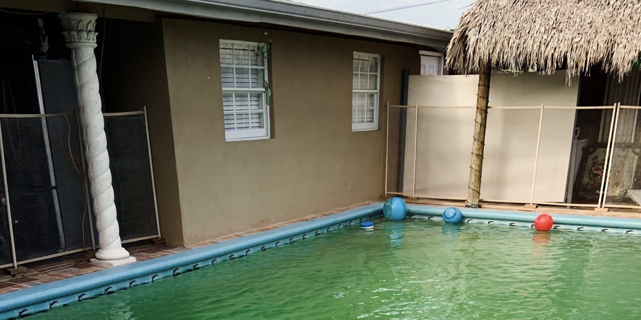Why South Florida Pools Turn Green — and How to Get Them Back